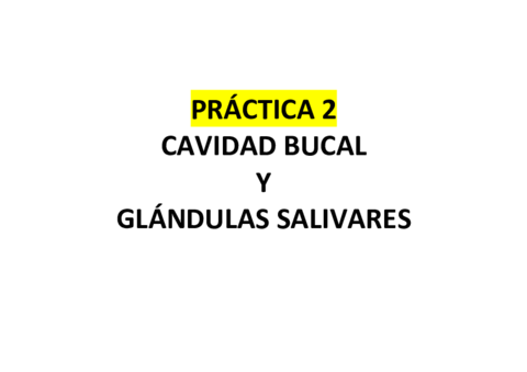 PRACTICA-2.pdf