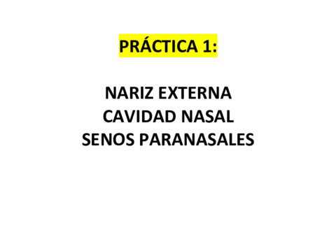 PRACTICA-1-.pdf