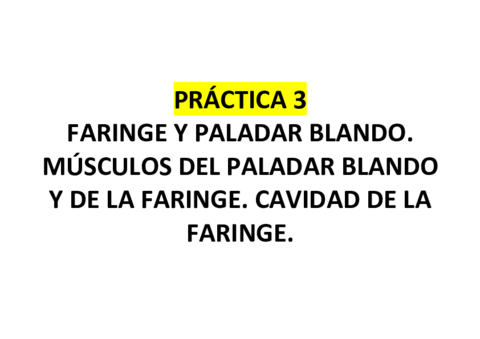 PRACTICA-3.pdf