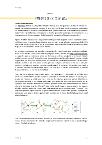 3. Patrones de ciclos de vida