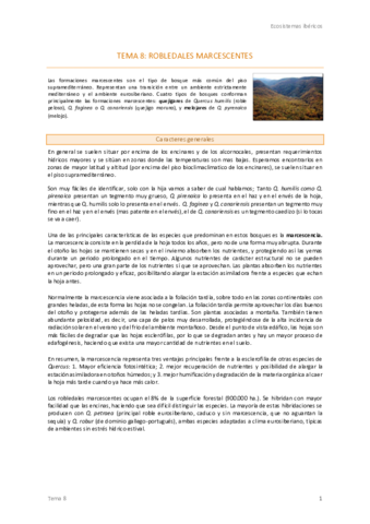 8. Robledales marcescentes