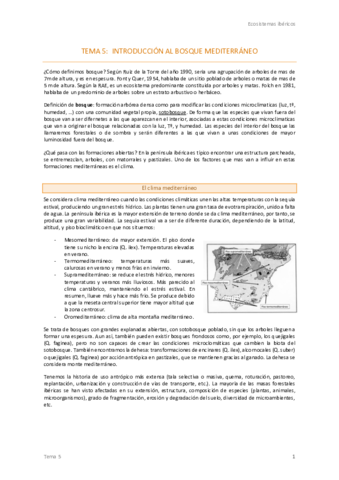 5. Introducción al bosque mediterráneo