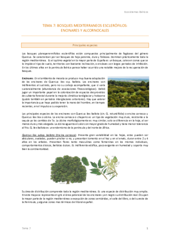 7. Encinares y alcornocales