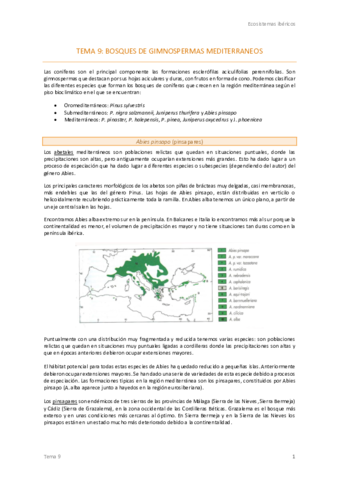9. Bosques de gimnospermas mediterráneos