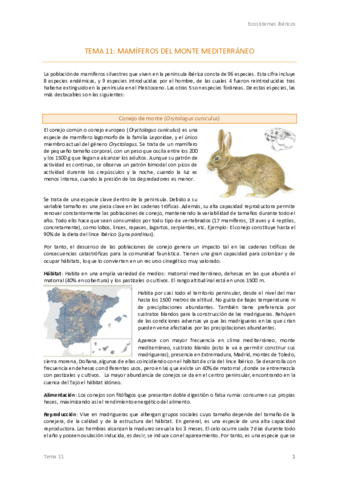 Tema-11-Ecos.pdf