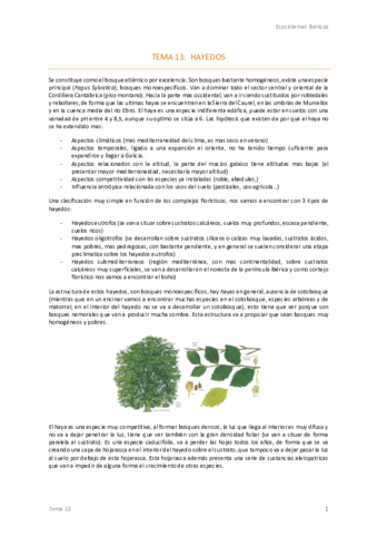 Tema-13-Ecos-.pdf