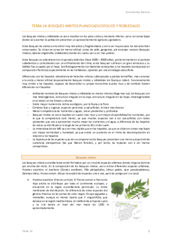 Tema-14-Ecos-.pdf