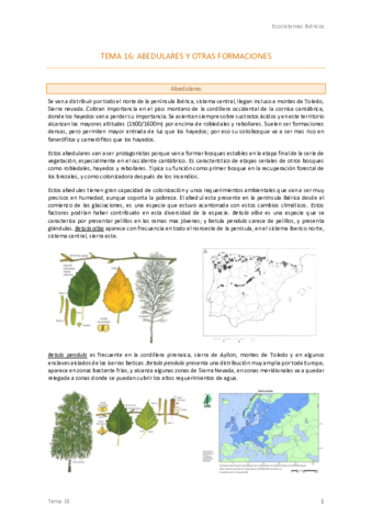 Tema-16-Ecos-.pdf