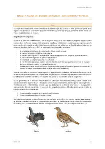 Tema-17-Ecos-.pdf