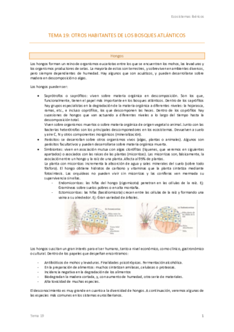 Tema-19-Ecos.pdf
