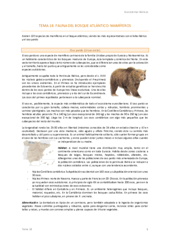 Tema-18-Ecos-.pdf