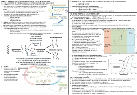 RESUMEN-BIO-T-4-5.pdf