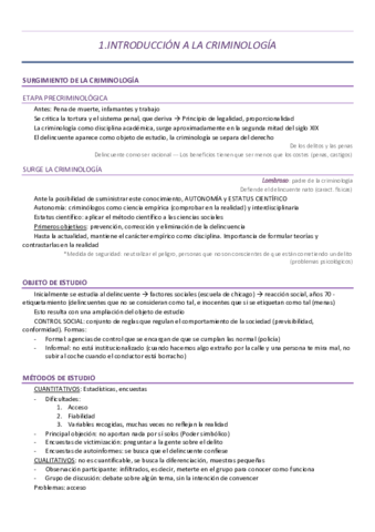 Teorias-criminologicas.pdf