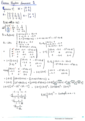 Examen-SM1-Algebra.pdf