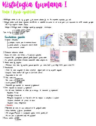histologia-tema-1-3-.pdf