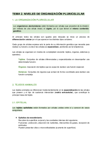 Niveles-de-organizacion-pluricelular-tejidos.pdf