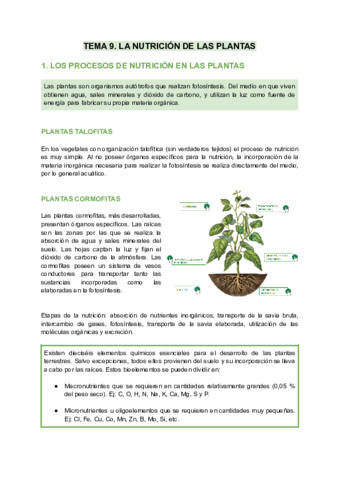 Nutricion-en-plantas.pdf