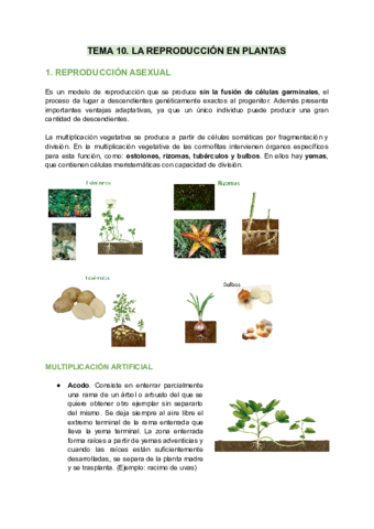 Reproduccion-en-plantas.pdf