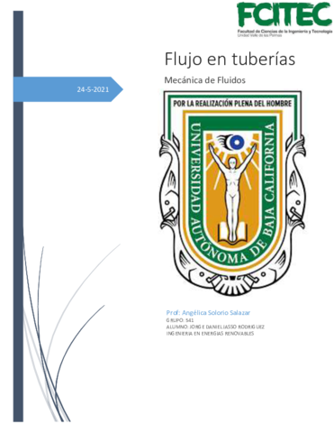 Flujo-en-tuberiasTrabajo-FinalJasso.pdf