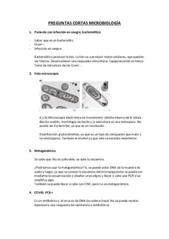 PREGUNTAS-CORTAS-MICROBIOLOGIA-1-copia.pdf