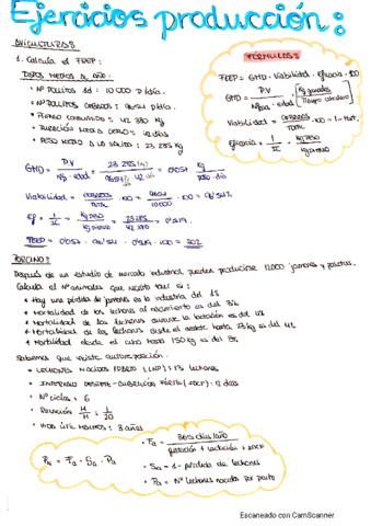 ejercicios-vacuno-y-porcino.pdf