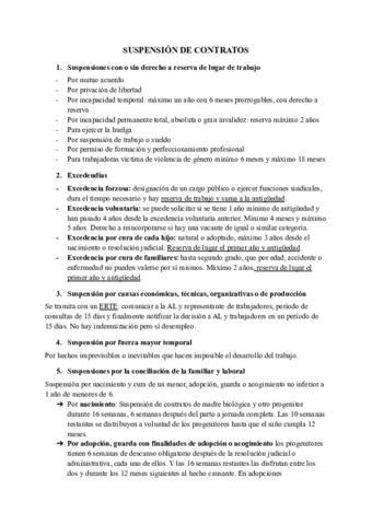 Suspension-extincion-liqudaciones-y-Seguridad-Social.pdf