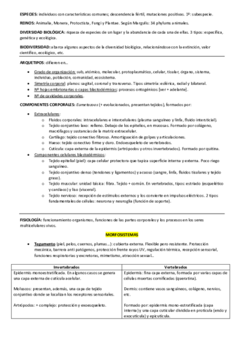 ESQUEMA-BLOQUE-III-BIOLOGIA-ZOOLOGICA.pdf