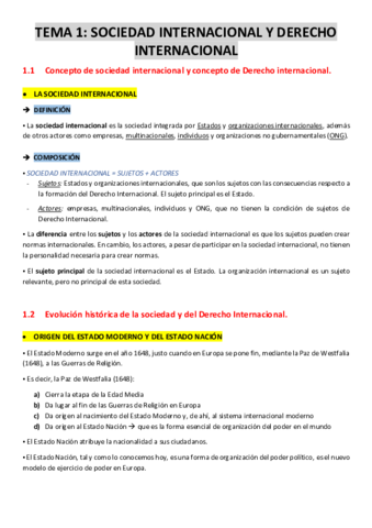 TEMA-1-SOCIEDAD-INTERNACIONAL.pdf
