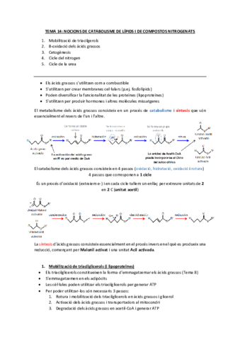 T.14 Cat de lípids i comp Nitro
