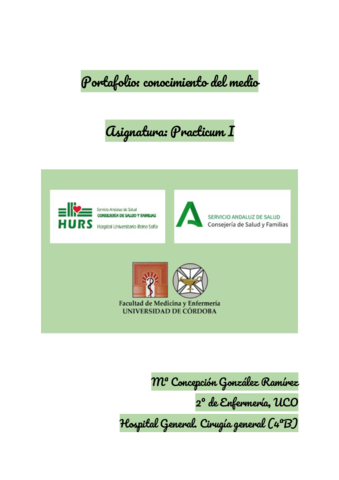 Portafolio-2-convertido.pdf