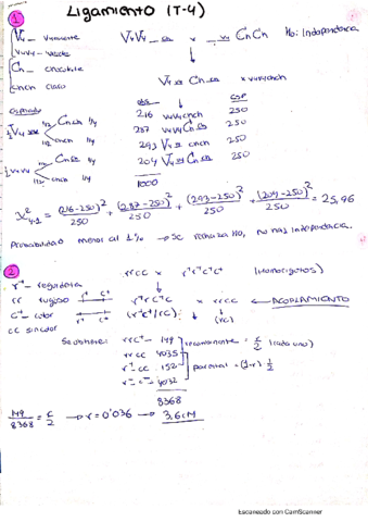 Ligamiento-ejs-resueltos.pdf