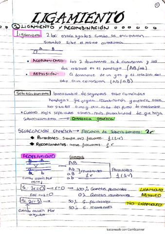 ligamiento-resumen-y-formulas.pdf