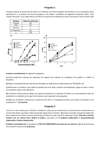 Examen-NF-2020.pdf