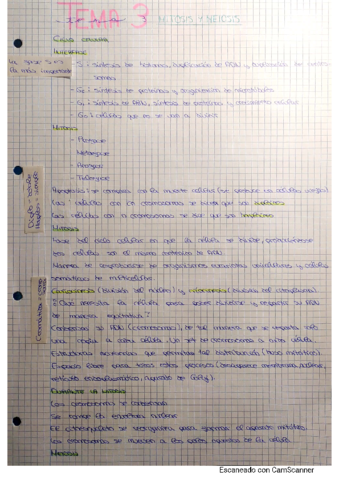 APUNTES-MITOSIS-Y-MEIOSIS.pdf