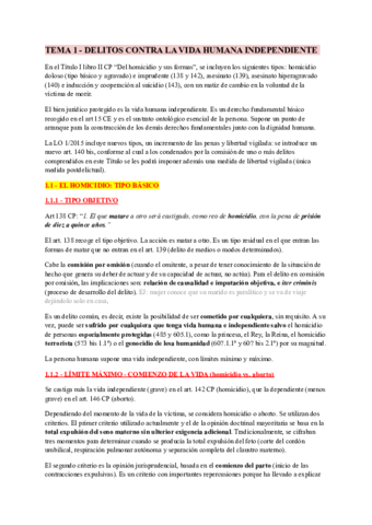 Todo-penal.pdf