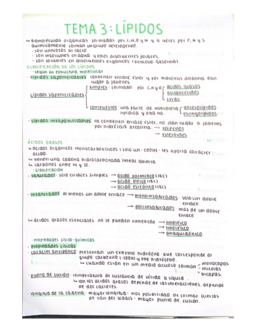 TEMA-3-LIPIDOS.pdf