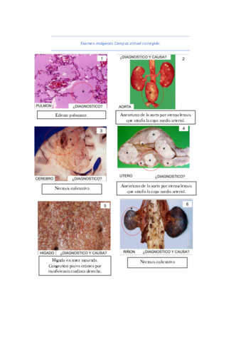 Examen-imagenes-Campus-virtual-corregido.pdf