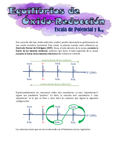 Equilibrios-de-Oxido-Reduccion-Escala-de-Potencial.pdf