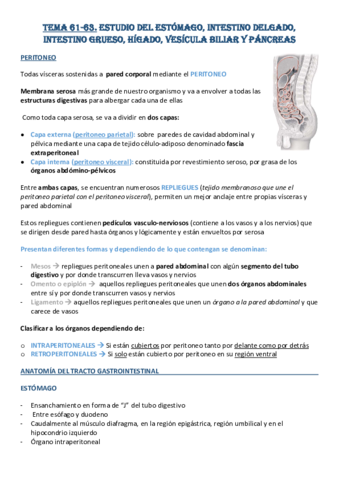 Tema-61-63-Estudio-del-Estomago-IG-ID-Pancreas.pdf