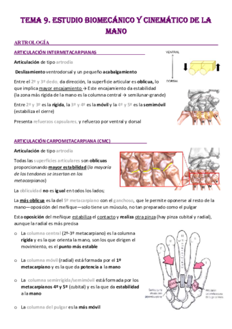 Tema-9-Manos-y-dedos-2o-5o.pdf