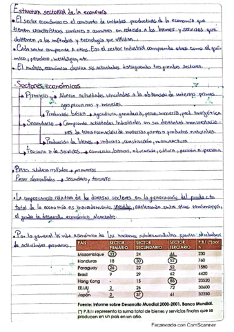 estructura-sectorial-y-sectores-economicos.pdf