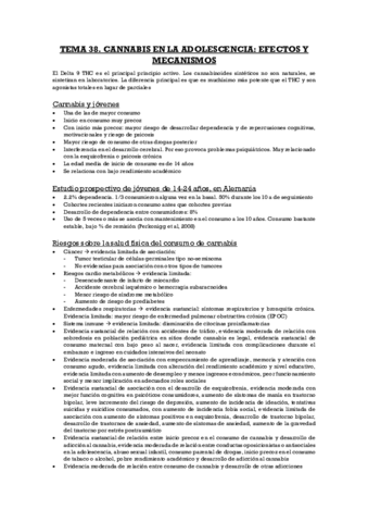 TEMA-38-i.pdf