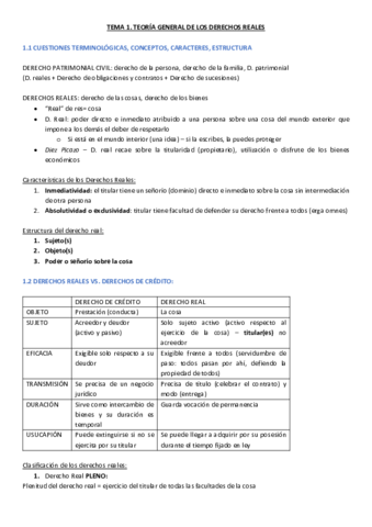 TEMA-1-Teoria-general-de-los-derechos-reales-.pdf