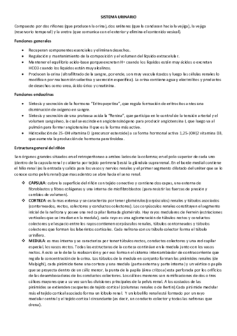 SISTEMA-URINARIO.pdf