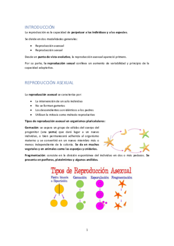 Reproduccion-animal-Biologia-1BACH.pdf