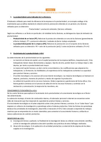 TEMA-6.pdf
