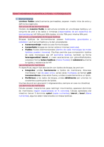 TEMA-7-MEMBRANA-PLASMATICA-CITOSOL-Y-CITOESQUELETO.pdf
