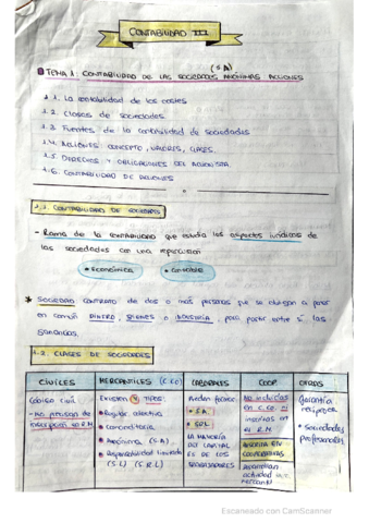 TEORIA-Contabilidad-III-2022.pdf