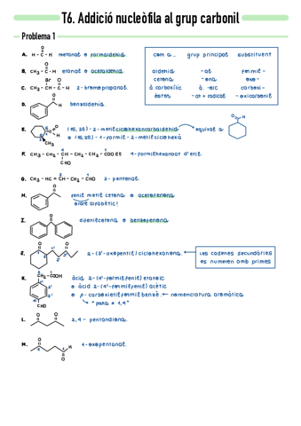P6-Addicio-nucleofila-al-grup-carbonil.pdf