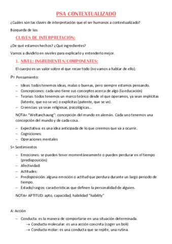 PSA-contextualizado-2.pdf